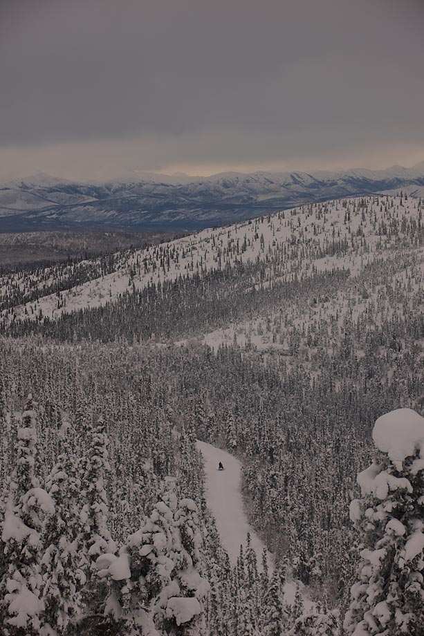 Yukon Arctic Ultra20132013-02-1021-49-22.jpg